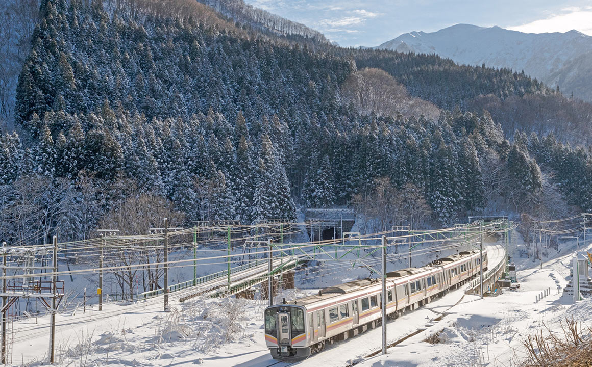 鉄道林（上越線土合・土樽間）