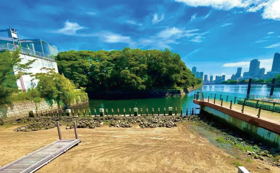 竹芝干潟