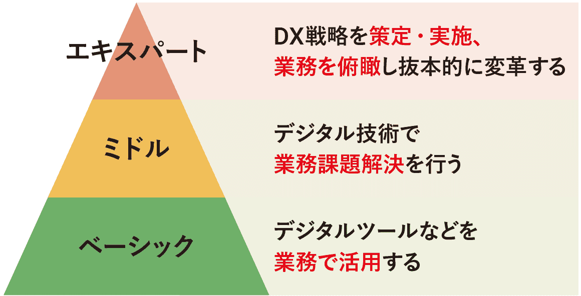 エキスパート：DX戦略を策定·実施、業務を俯瞰し抜本的に変革する ミドル：デジタル技術で業務課題解決を行う ベーシック：デジタルツールなどを業務で活用する