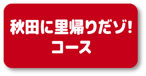 秋田に里帰りだゾ！コース