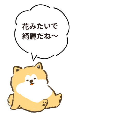 花みたいで綺麗だね〜