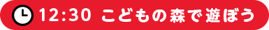 12:30 こどもの森で遊ぼう