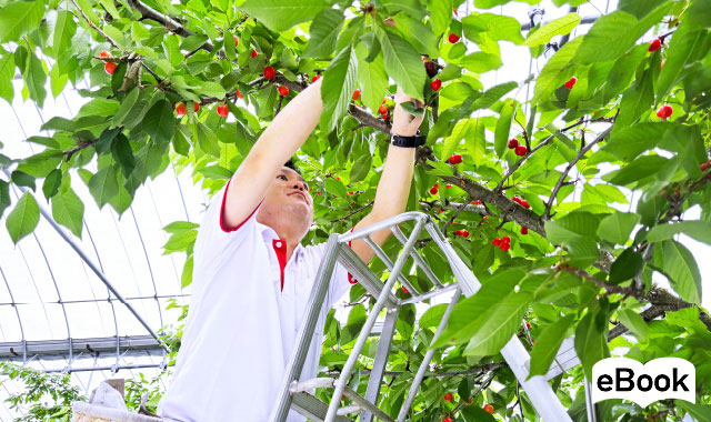 and E（eBook：別ウィンドウが開きます）