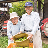 梅農家さん