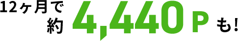 12ヶ月で約4,440Pも！