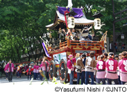 Sightseeing Information and Special Deals