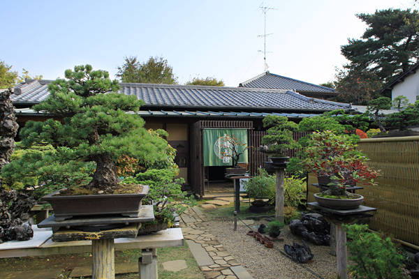 Recommended Omiya sightseeing itinerary  Omiya  Featured 