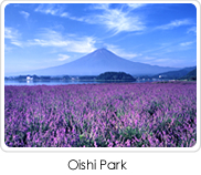 Oishi Park