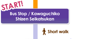 START!, Bus Stop / Kawaguchiko Shizen Seikatsukan, Short walk