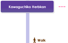Kawaguchiko Herbkan, Walk