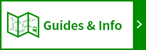 Guides & Info