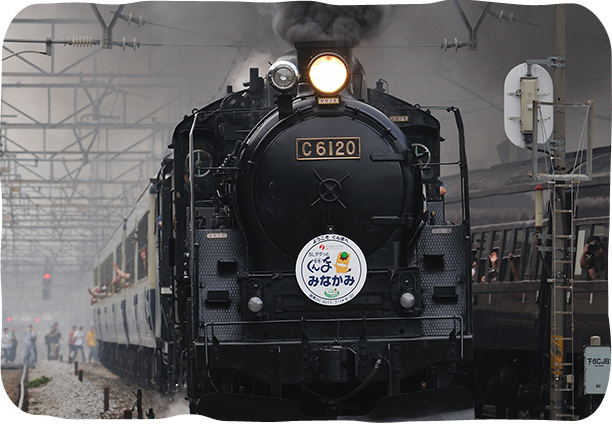 C61 20