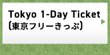 Tokyo 1-Day Ticket