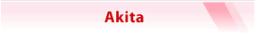Akita