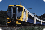 The Sazanami/Wakashio Series E257: 10-car trains