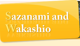 Sazanami and Wakashio
