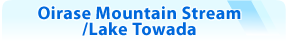 Oirase Mountain Stream/Lake Towada