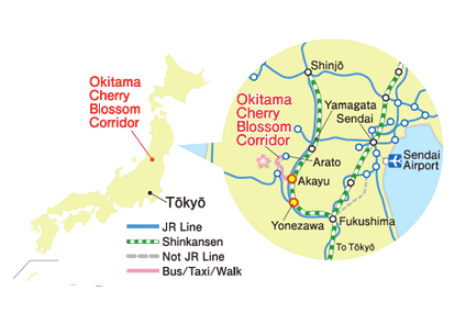 위치 – 오키타마 사쿠라 가이로
