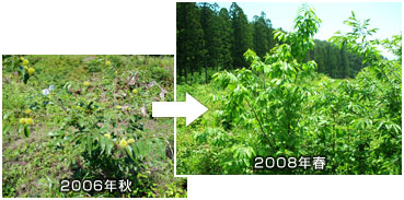 2004NAꏊ̃C[W1