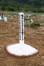 森づくりの様子