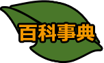百科事典