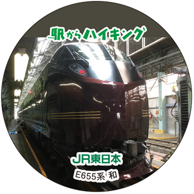 E655n a