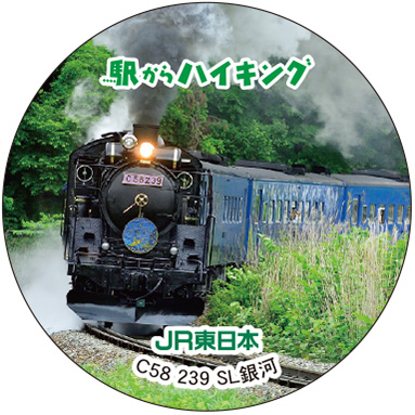 C58 239 SL