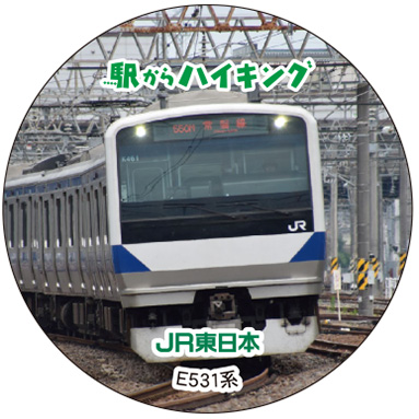 E531n