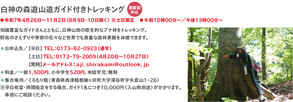 観光体験メニュー