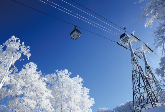 青森スプリングリゾート