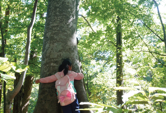 白神の森遊山道