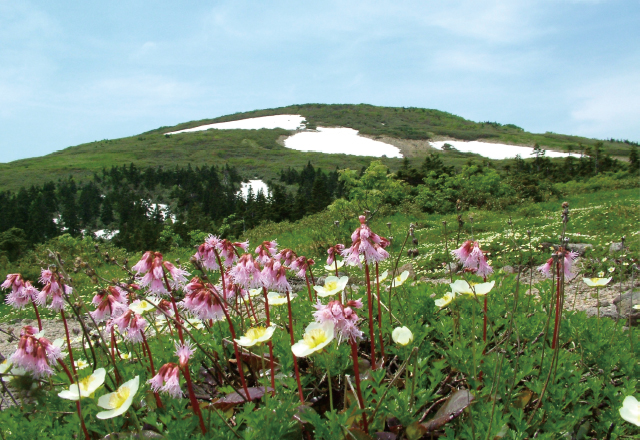 森吉山阿仁スキー場（森吉山）