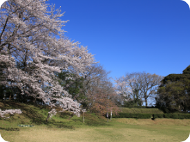 佐倉城跡