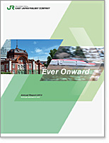 2013 Annual Report