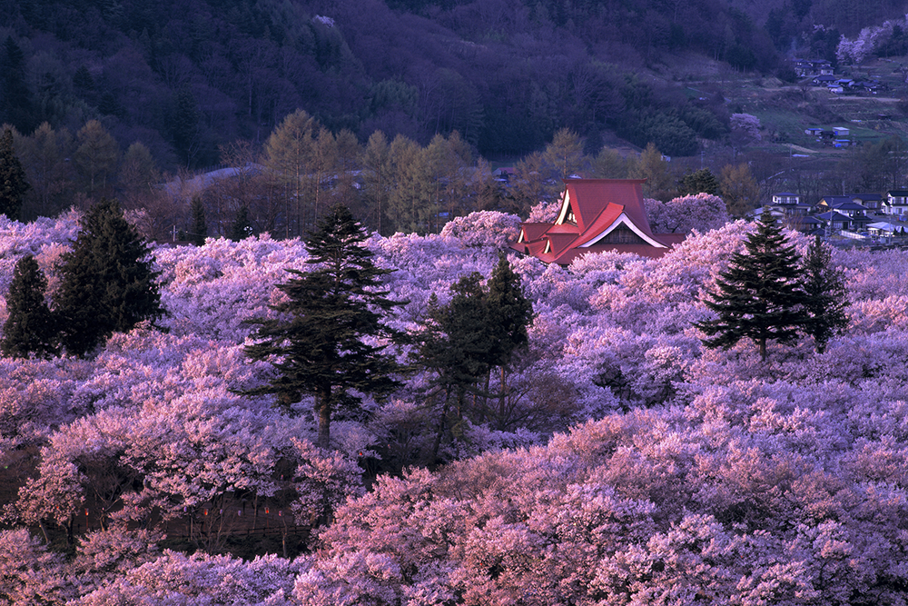 Takato Joshi Park – Nagano Prefecture
