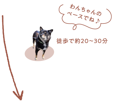 徒歩で約20～30分