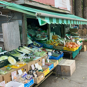 本橋青果店
