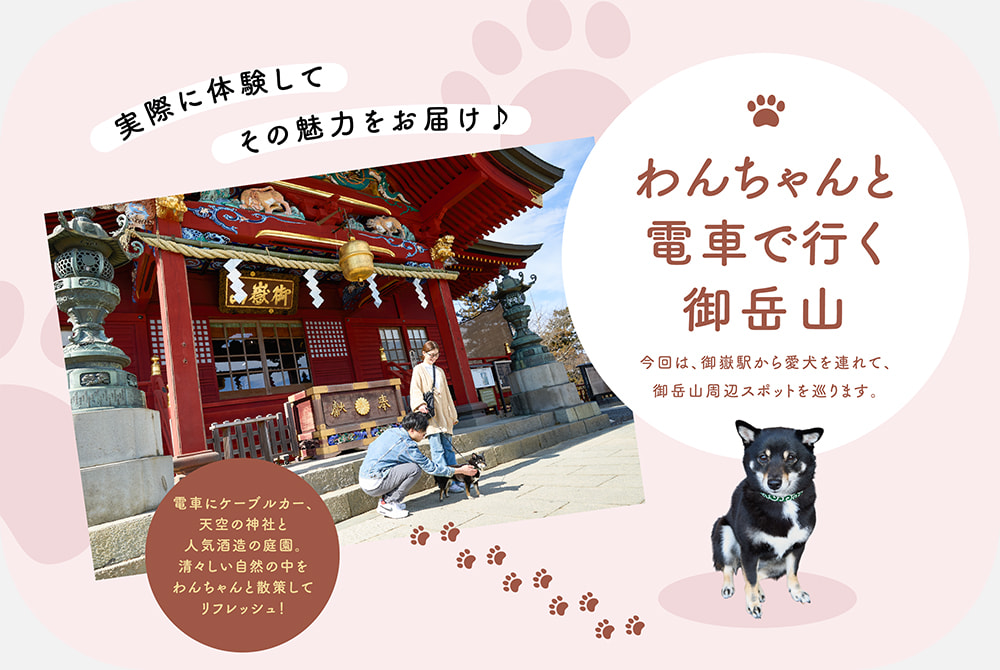 わんちゃんと電車で行く御岳山