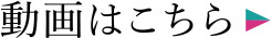 動画はこちら