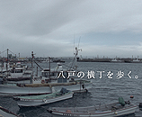 鮫浦漁港の写真