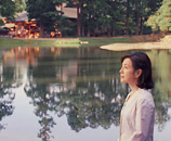 毛越寺 浄土庭園の写真