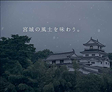 宮城県「白石うーめん篇」の写真