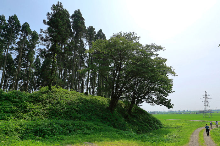 平林城の写真