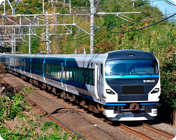 特急「下田水仙まつり号」