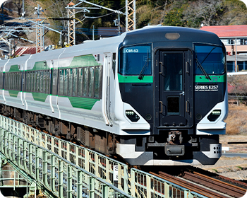 特急「みなみの桜河津桜高尾号」