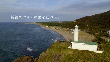 撮影地 イメージ
