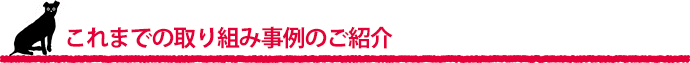 これまでの取り組み事例のご紹介