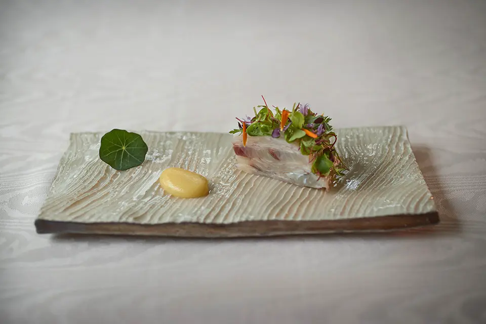 イメージ：料理