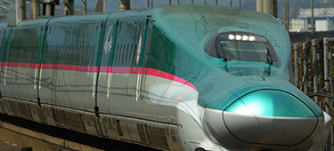 People who support overseas business in Japan