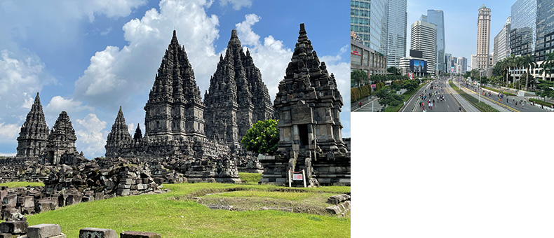 Indonesia MRT project
